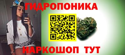 таблы Сланцы