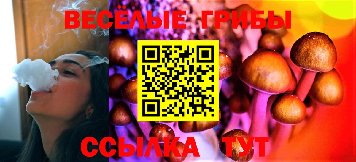 Галлюциногенные грибы прущие грибы  Галлюциногенные грибы Magic Shrooms  Орехово-Зуево  Вход с VPN 